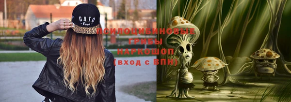 2c-b Болхов