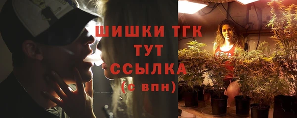 шишки Михайловск