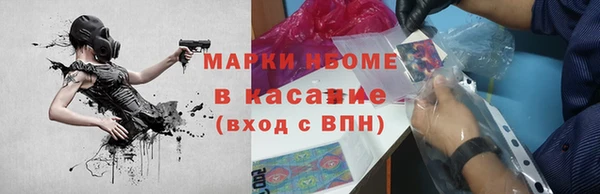 шишки Михайловск