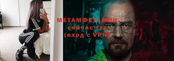 прущие грибы Мегион