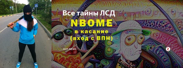 шишки Михайловск