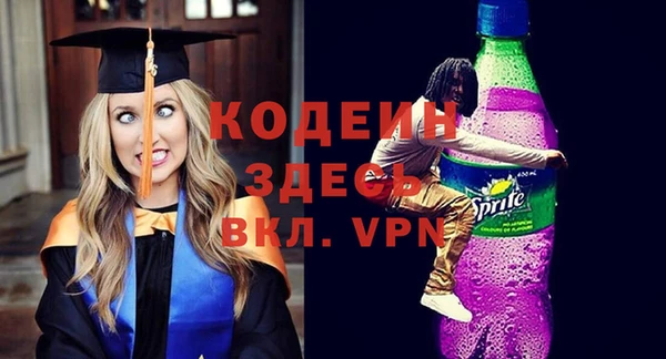 шишки Михайловск