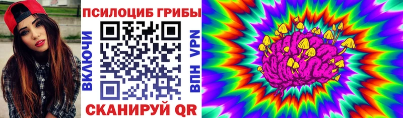 omg tor  Мурино  Галлюциногенные грибы мухоморы 