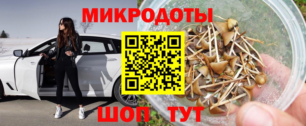 Псилоцибиновые грибы GOLDEN TEACHER  закладки  Мурино  Вход с VPN  Псилоцибиновые грибы GOLDEN TEACHER 