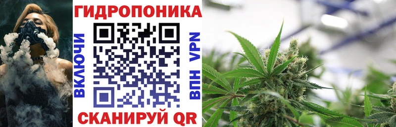 Бошки марихуана конопля Мурино